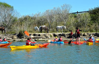 Parcours nautique d'interprétation du Grau du Roi