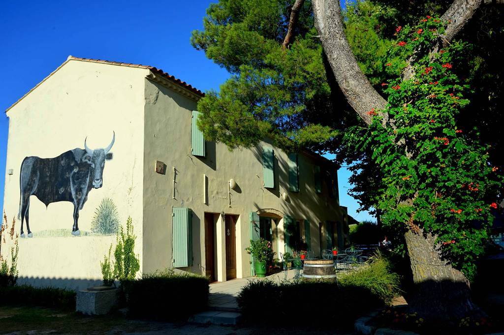 camargue; costieres; tourisme; gard; manade; taureaux; ferrade; course; gardian; montcalm; vauvert; animation