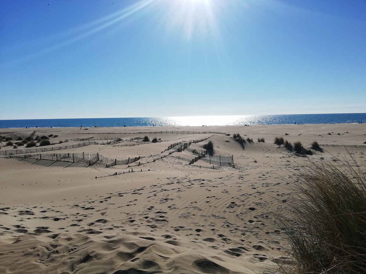 Dunes et plage
