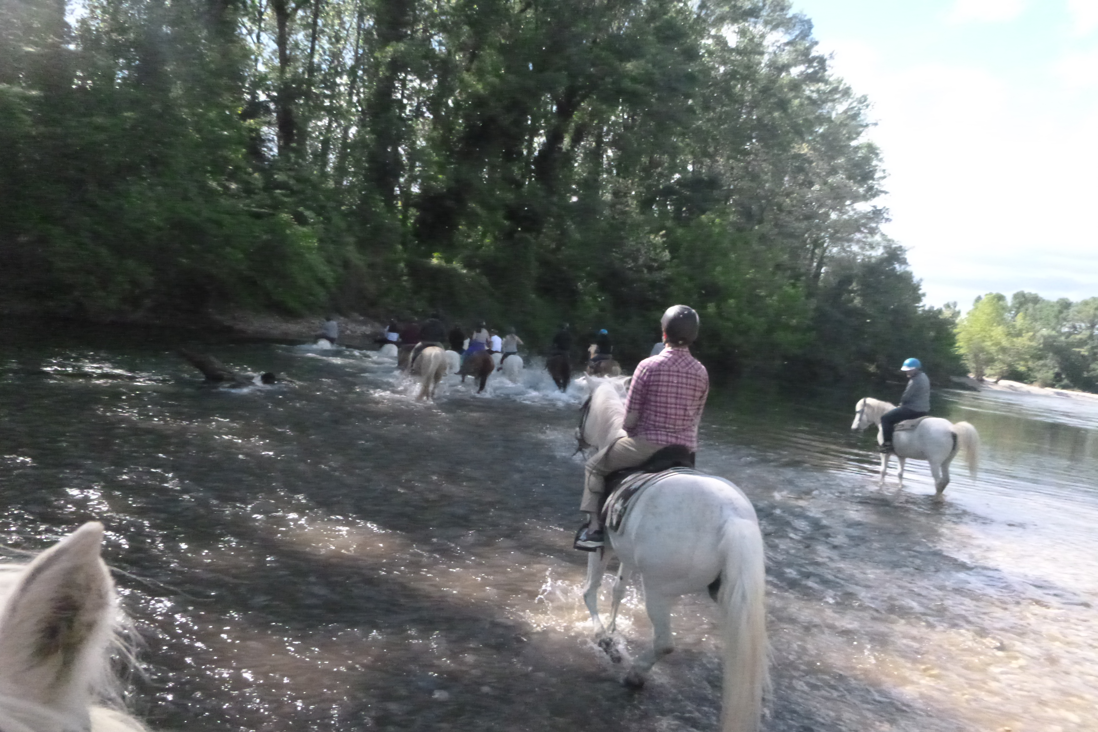 Traversée de la Cèze à cheval
