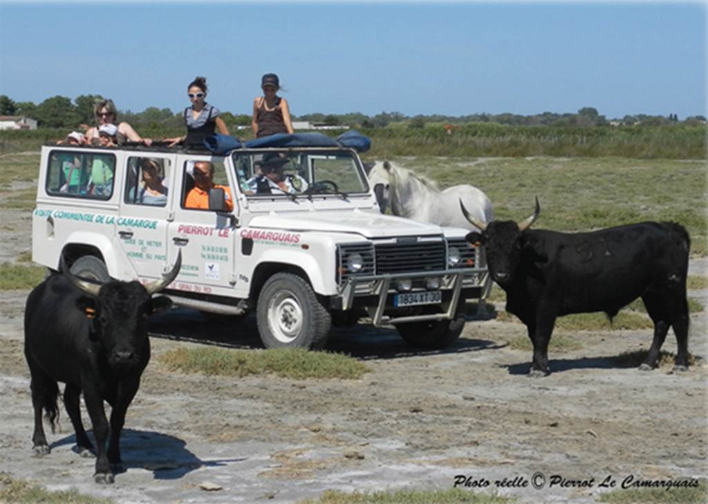camargue en 4x4