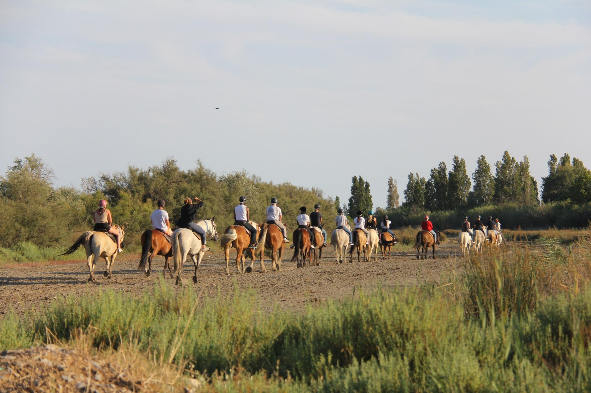 Abrivado Ranch