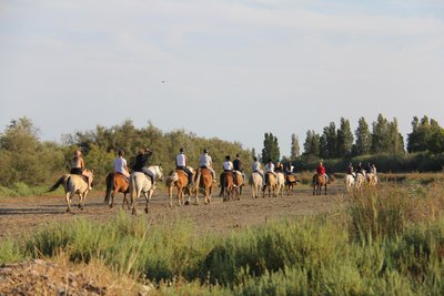 Abrivado Ranch
