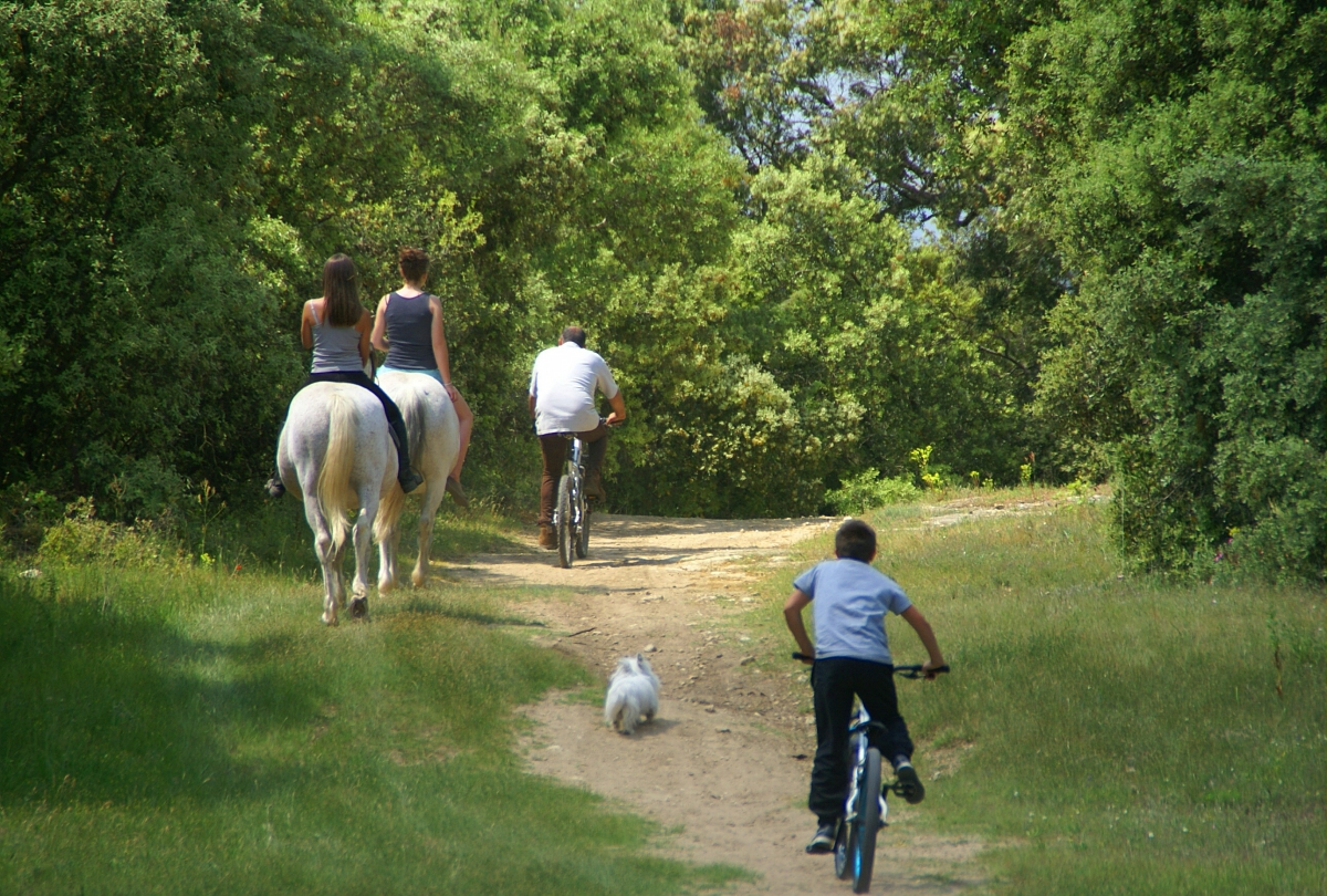 Randonnée à cheval