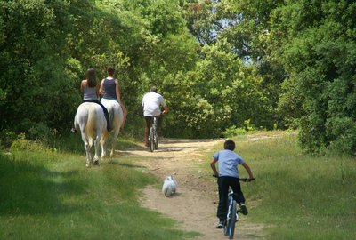 Randonnée à cheval