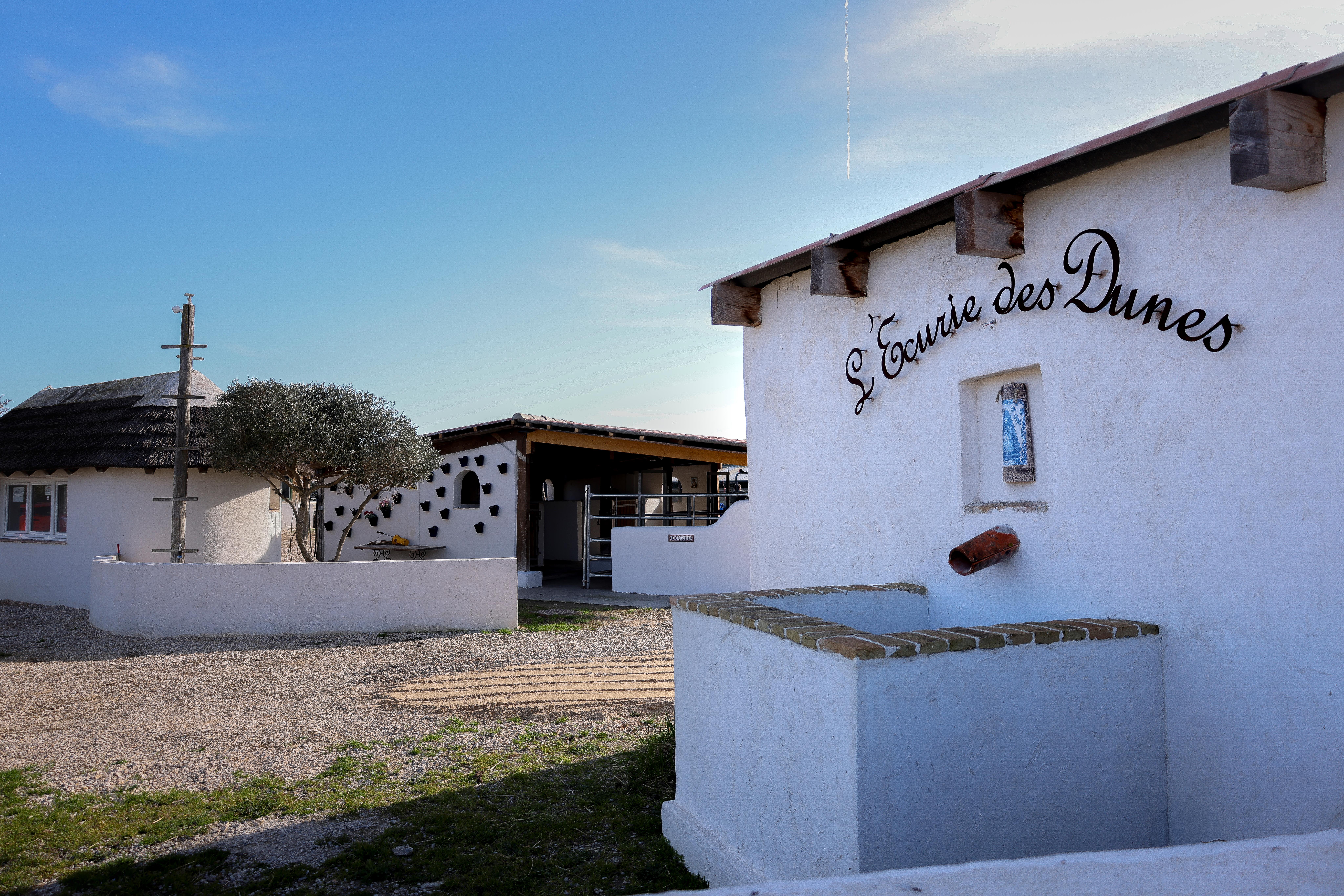 Promenade à cheval - L'écurie des dunes_Le Grau-du-Roi