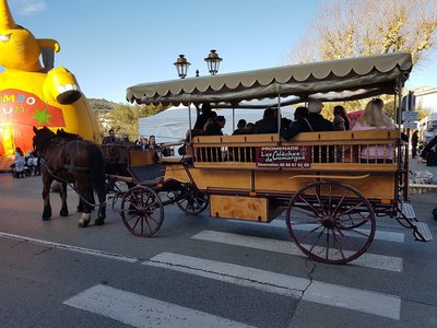 Promenade en Calèche