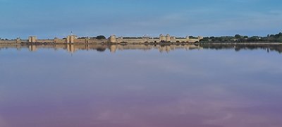 salins du midi