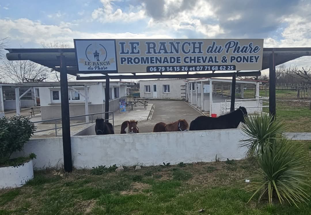 Le Ranch du Phare_Le Grau-du-Roi