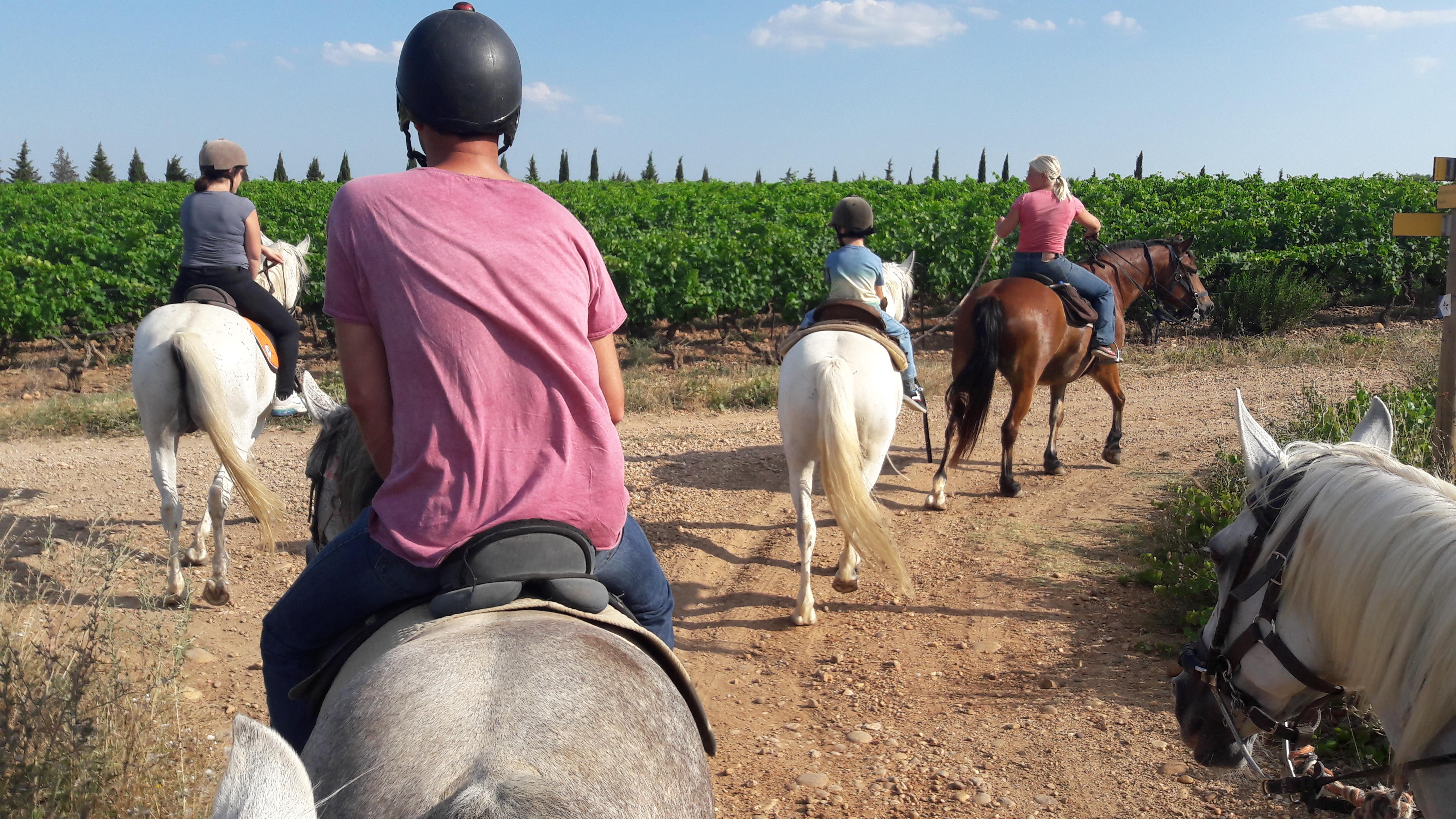 A cheval chez théo Beauvoisin