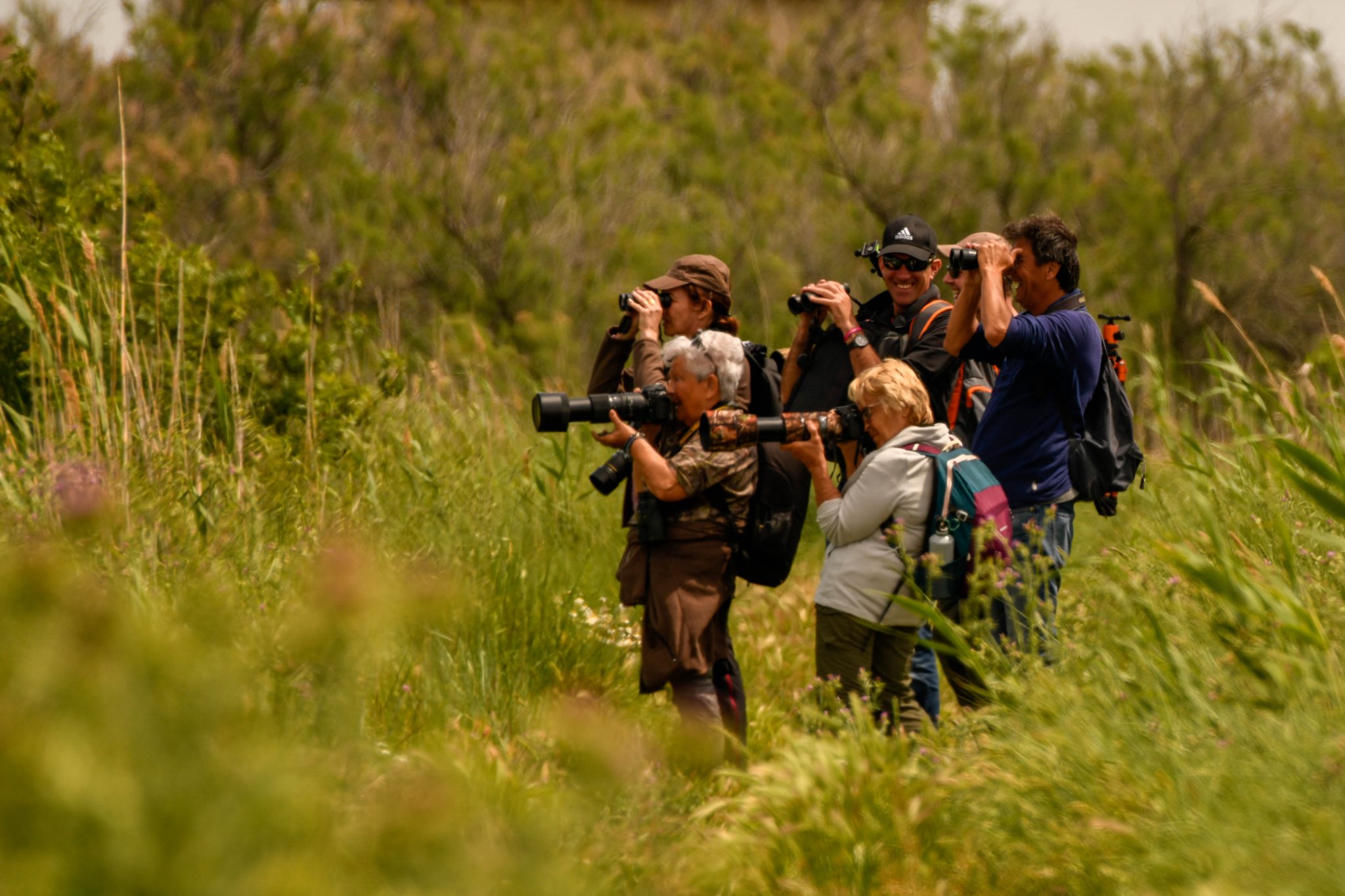 Visiteurs prenant des photos
