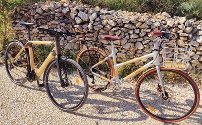 Panda Bambou Cycles_Sauve