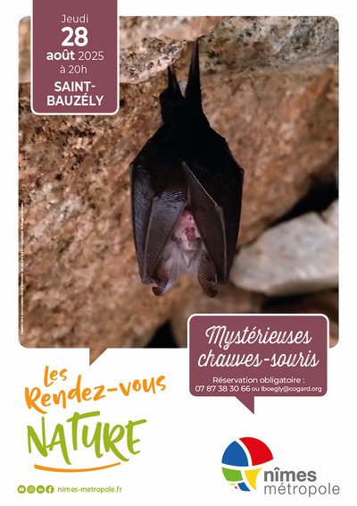 Rendez-vous Nature - Animations et balades Nature gratuites_Saint-Bauzély