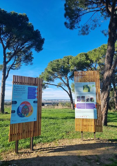Découverte du Parcours d'Agroforesterie_Caissargues