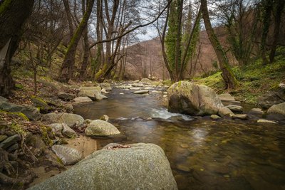 Ripisylve VS Changement climatique. ÉP.II : La vie du bois_Génolhac
