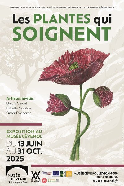 les plantes qui soignent
