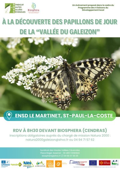 À la découverte des papillons