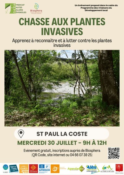 La Chasse aux plantes invasives