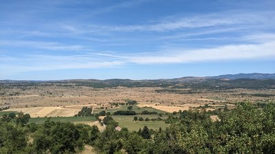 Panorama Rogue