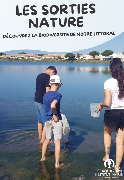 Sortie plage avec le Seaquarium institut Marin_Le Grau-du-Roi
