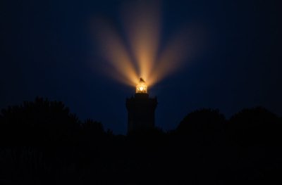 by night
