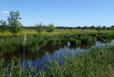 ENSD des marais du Cougourlier