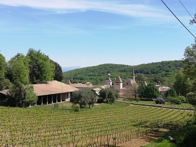 Chartreuse de Valbonne