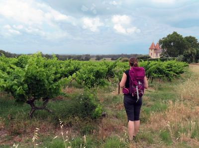 Randonnée dans les vignes de l'AOC Costières de Nîmes