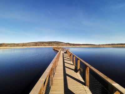 Etang de la Capelle