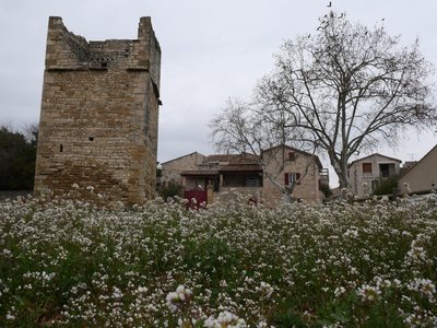 Garrigue vue générale pigeonnier et maison de village
