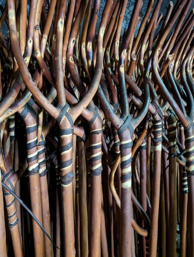Le Conservatoire de la Fourche_Sauve