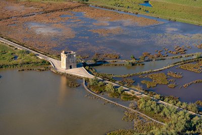 Tour Carbonnière et ses marais