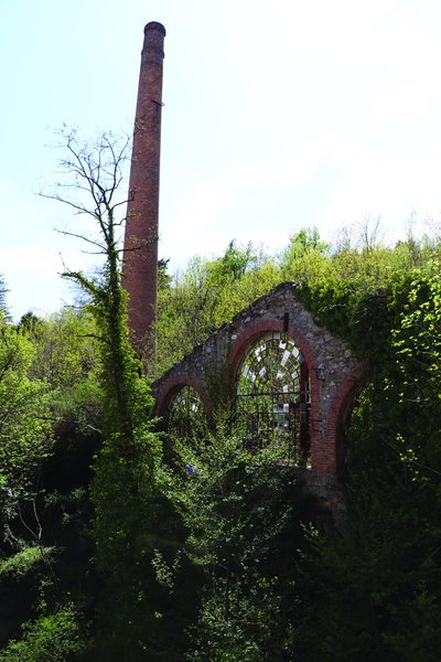 Usine de tanin
