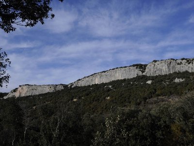 Vue
