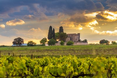 Chapelle isolée au milieu des vignes