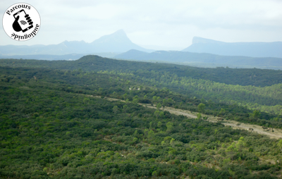 Vue sur Pic Saint Loup et Hortus