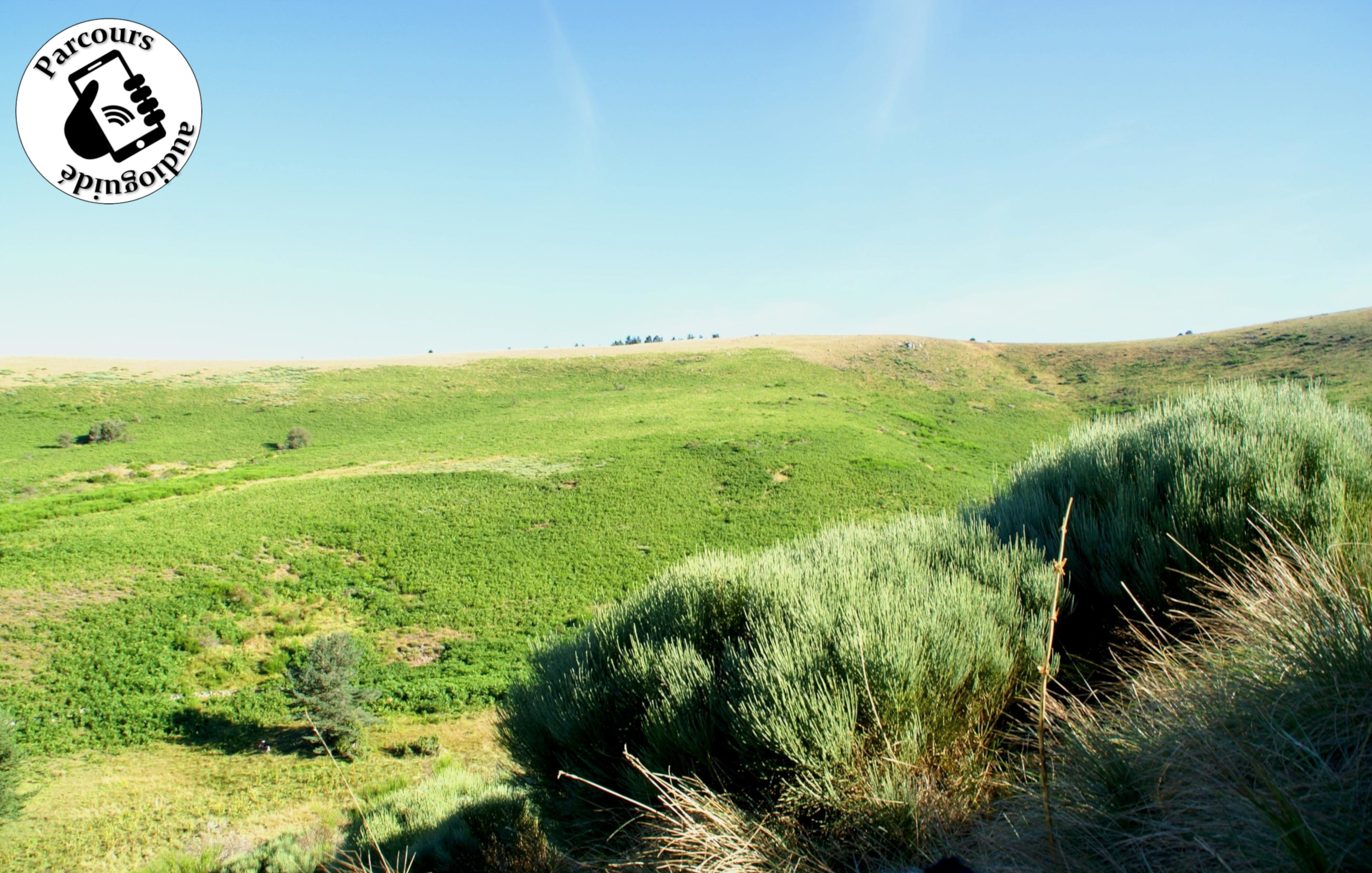 Paysage Caussenard