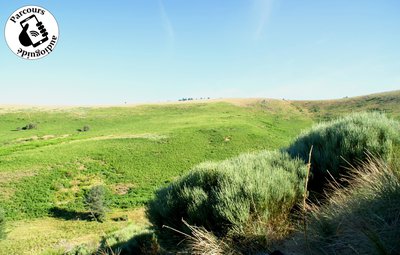 Paysage Caussenard