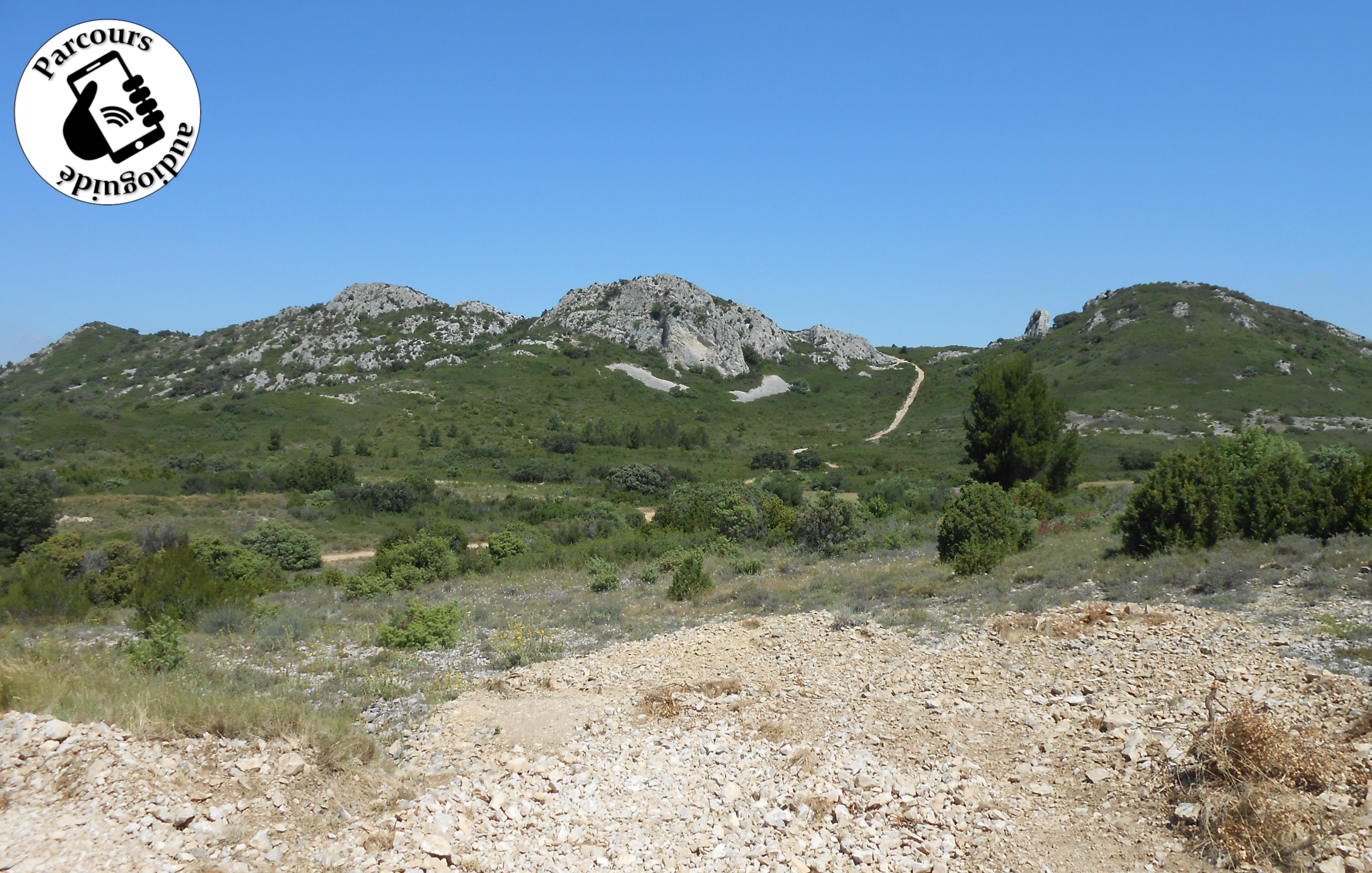 Garrigue d'Aramon