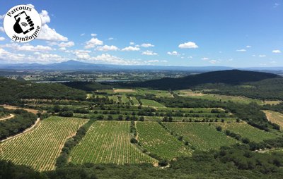 Vue sur le Mont Ventoux