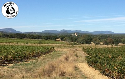 Vignes et Piémont cévenols