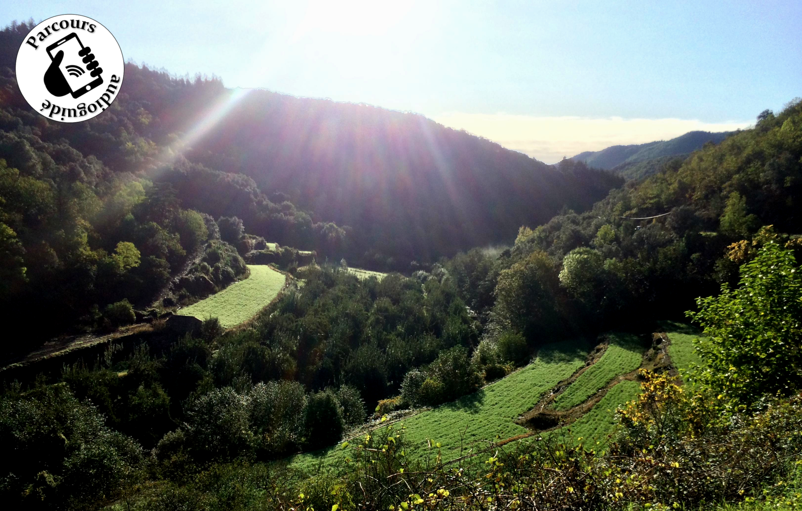 Terrasses d'oignons