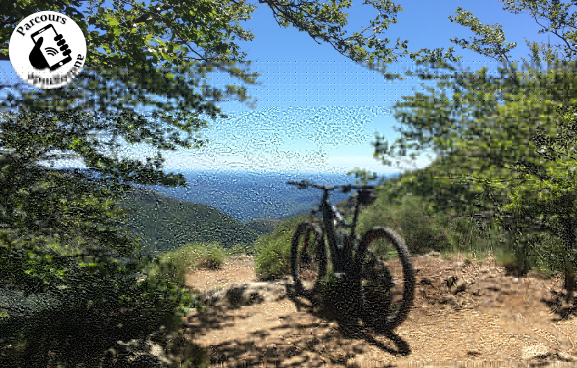 Vue sur les Cévennes