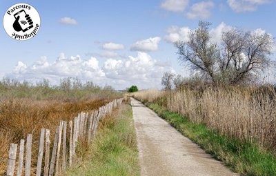 Route en Camargue