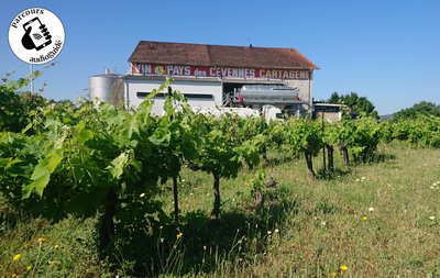 Vigne et cave coopérative d'Atuech