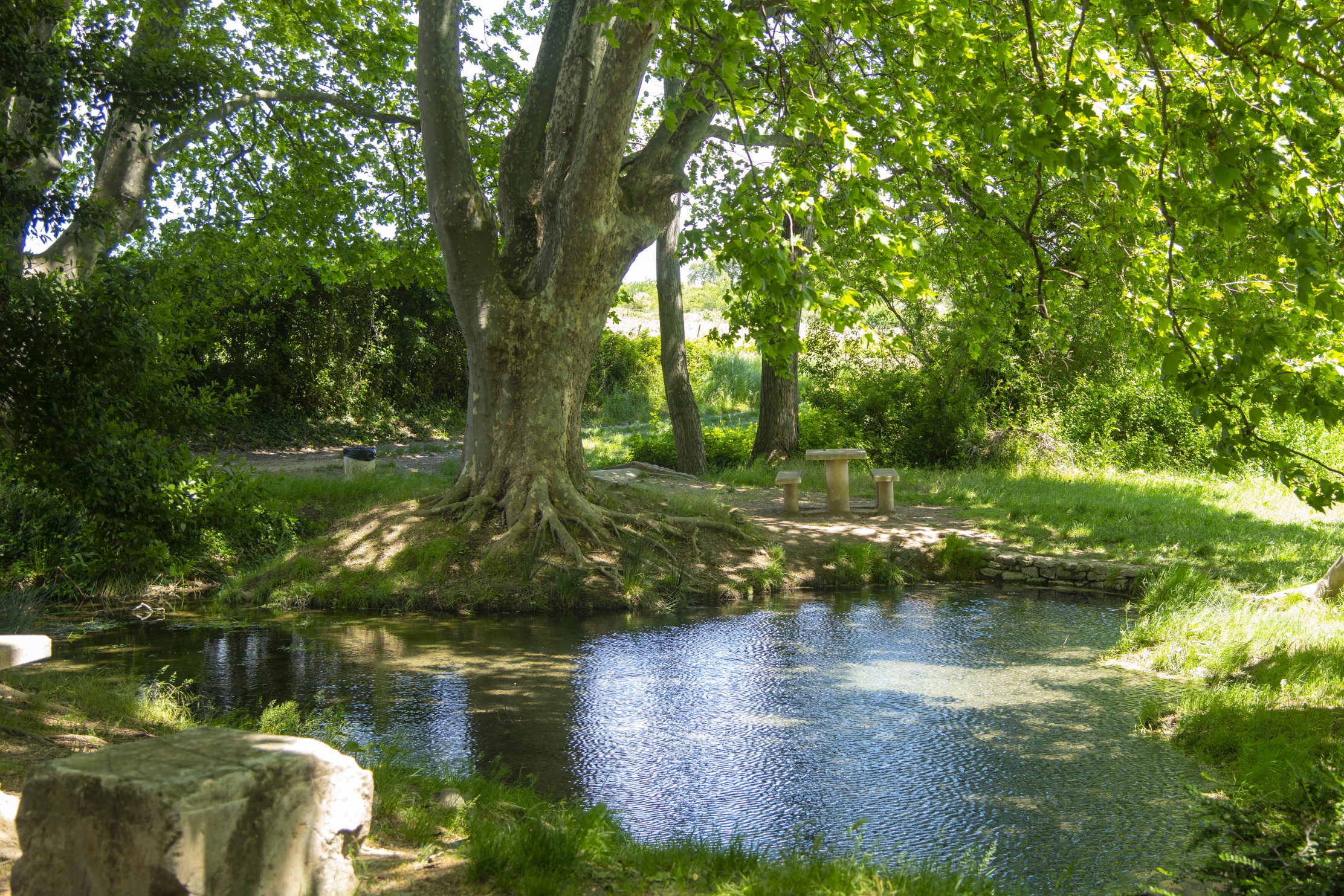 Fontaine du Tavie