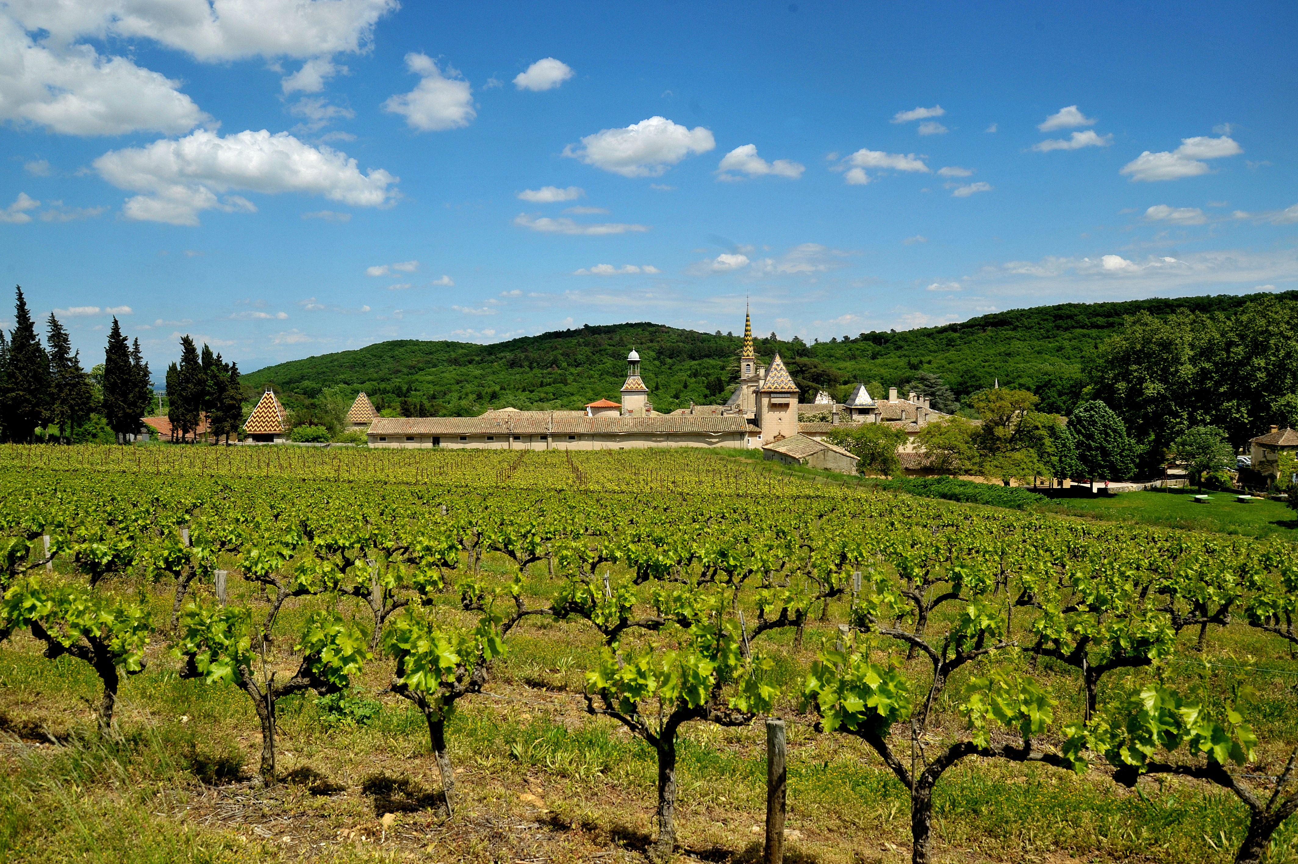 La Chartreuse de Valbonne