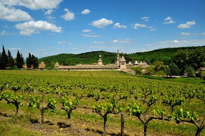 La Chartreuse de Valbonne