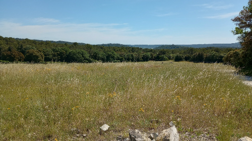 Point de vue