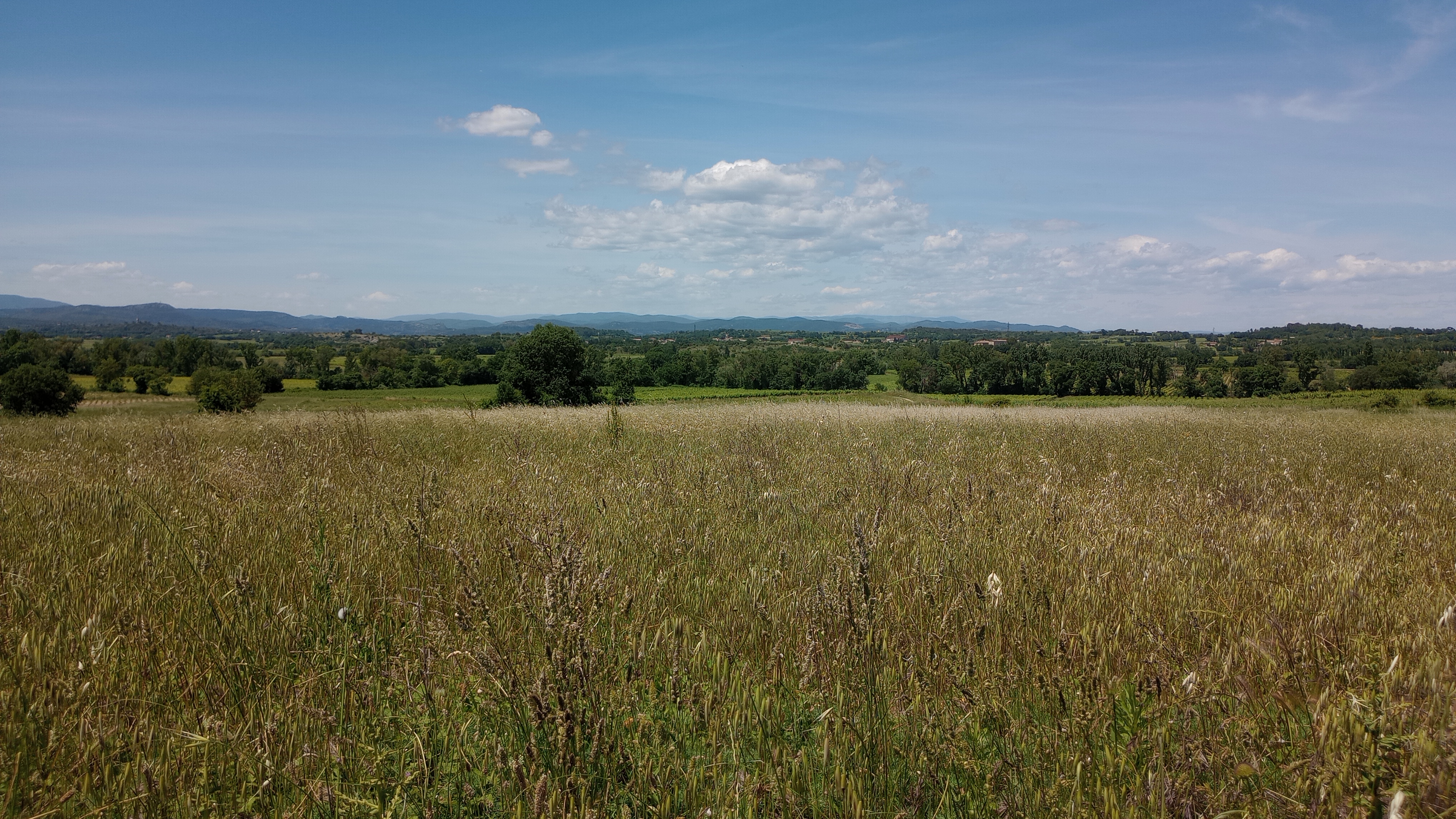 Champs, vignes, bois, villages, montagnes